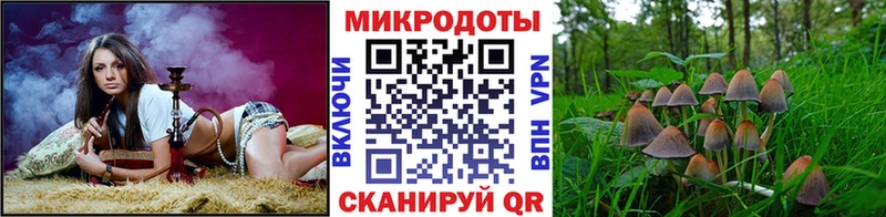 Галлюциногенные грибы Magic Shrooms  Заволжск 